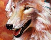 Charles Winterscheid