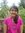 Suraksh...