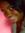 Luana S...