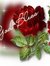 Amaal M...