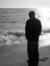 Sherif Mohsen