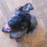 Анна Петровна