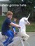 Troy