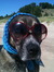 Sasha P...