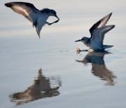 Outer-banks News-views