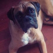 Heather Emslie-smith