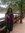 Sushree...