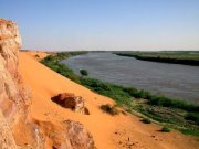 على عبد الحليم