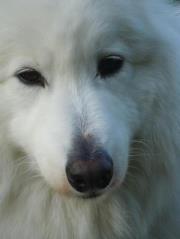 Emily Bibby mitchell