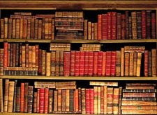Amie