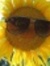 Debra T...