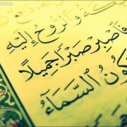 أحمد القرقني