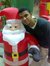 Ahmed H...