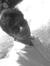Daksh Verma