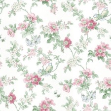 طُهرْ الجِنَانْ