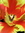 member photo member photo