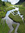 Svevida | 12 comments