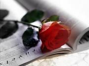 اشراقة جديدة