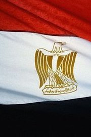Sara Sharrawy