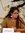 Leonor ...