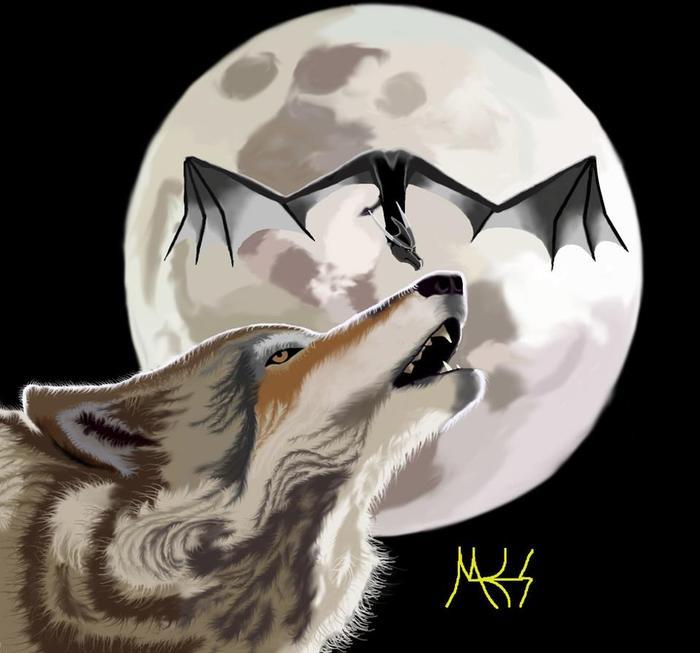Goodreads profile picture for @choosy
