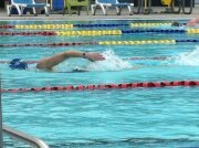 Elise Gaudet-mackenzie