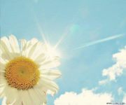 روان عبد الحق