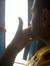 Hesham Magdy