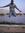 Ahmed R...