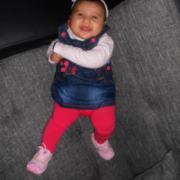 Honey Bulbul