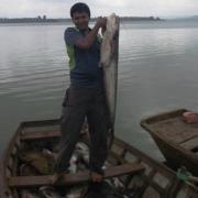 Vishal Rasal