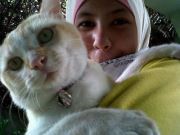 Arini Rahmi