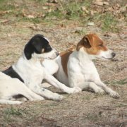 Lori Glasgow laughlin