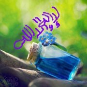 Walaa Abdel fattah