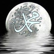 أريج الورود