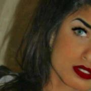 الدبلوماسيه النقبي