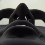 องครักษ์ พิทักษ์ราชันย์