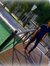 Elvin G...