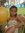 Jolina ...