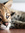 Nicole | 3 comments