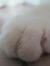 Mitchel...