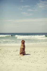 Classic_$ophie Sharpie