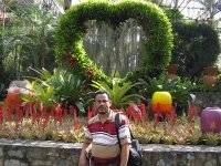 M Arshad