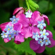 إسلام رسلان