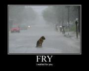 Antonio Navedo mancera