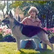 Penny Holmes-bilquist