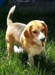 Lorna Mackinnon-mccullagh