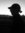 Mark Darley