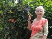 Kathy Allen-kirsch
