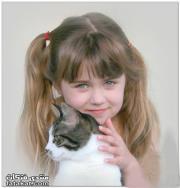 ايمن الباشا